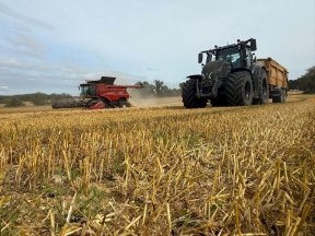 Picture: /imgresize/w288/blog-files/blog/8/602300698-10242030079435434-861772007731941131-n.jpg